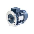 Leeson Electric Leeson Motors Motor IEC Metric Motor-15HP, 230/460V, 3555/2940RPM, IP55, B3/B5, 1.15 SF, 91 Eff. 193348.6